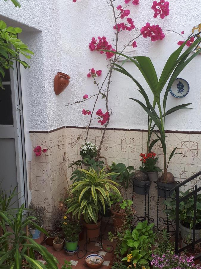 The Jasmine House Hotel Олвера Екстериор снимка